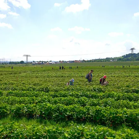 An Der Plantage Semesterbostad