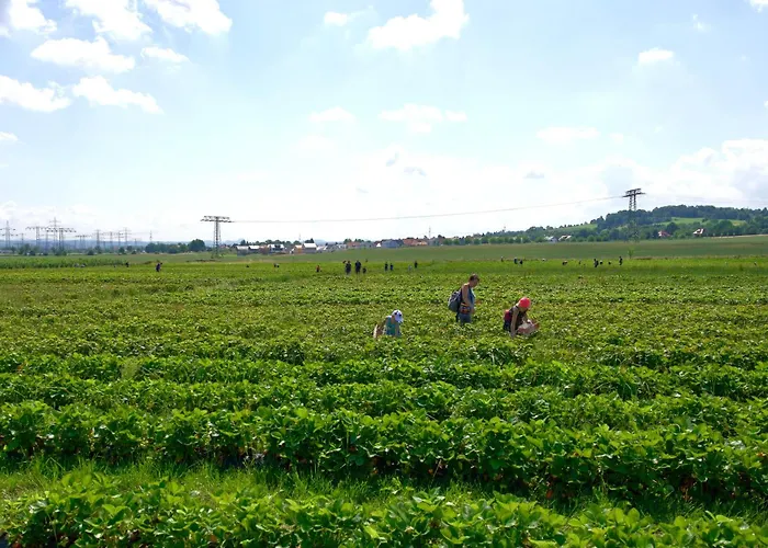An Der Plantage Semesterbostad